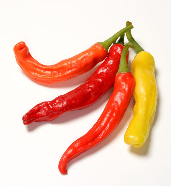 Charleston Hot Pepper Seeds - Capsicum annuum - The Living Seed Company