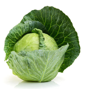 Copenhagen Market Cabbage Seeds - Brassica oleracea - The Living Seed Company