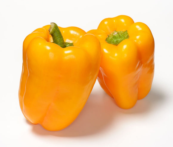 Organic Golden California Wonder Sweet Pepper Seeds - Capsicum annuum - The Living Seed Company