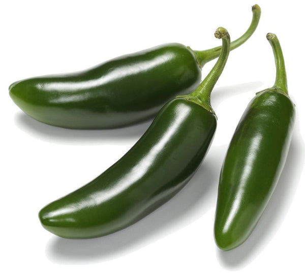 https://www.livingseedcompany.com/cdn/shop/products/organic-jalapeno-hot-pepper-capsicum-annuum-200527_grande.jpg?v=1702654451